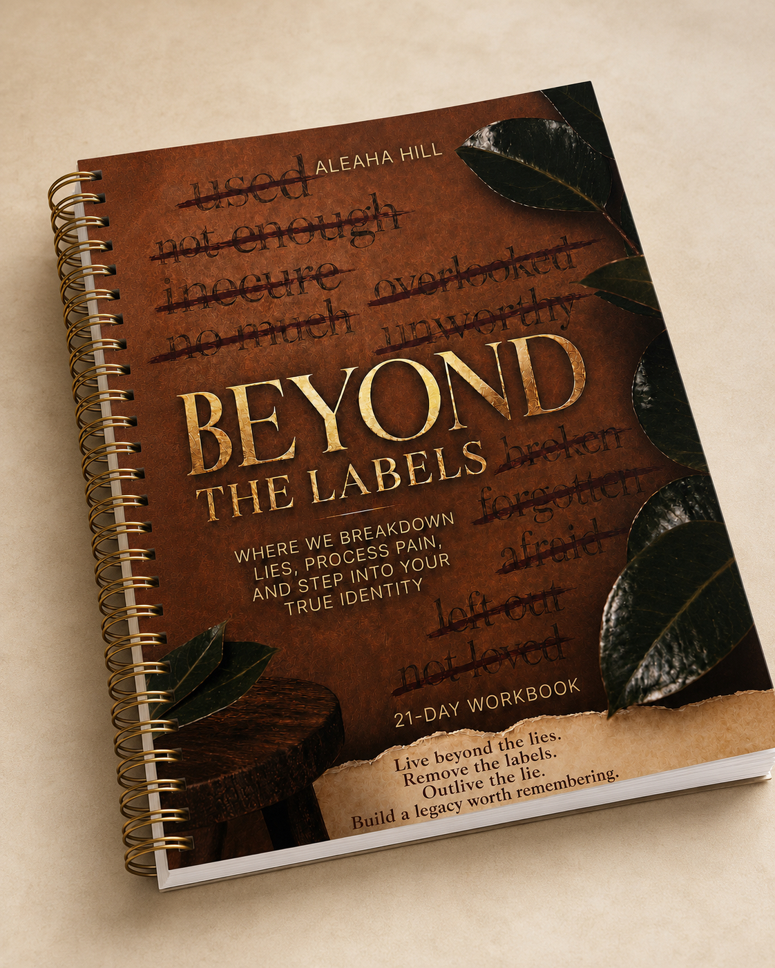 Beyond the Labels workbook in Brown cover