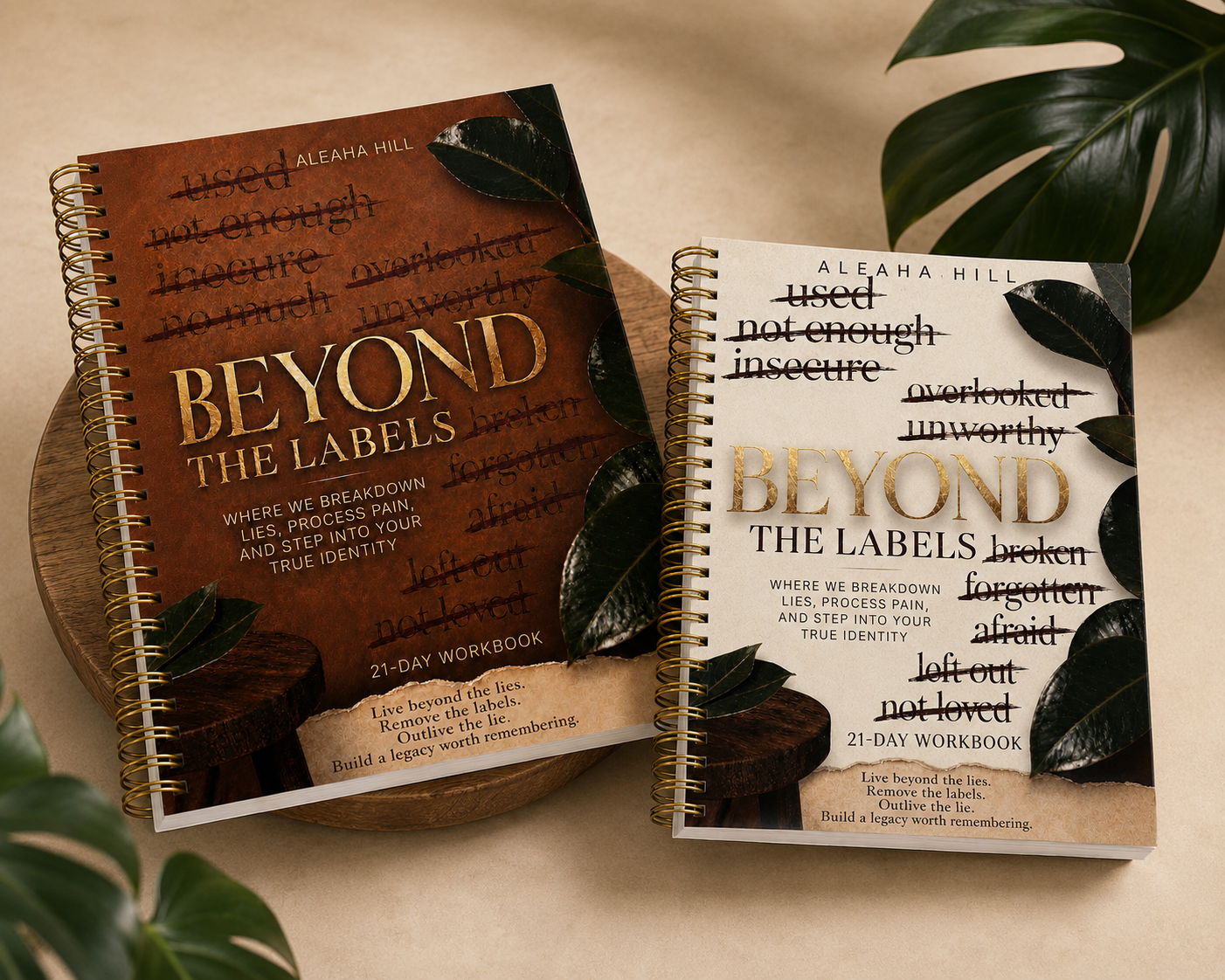 Beyond the Labels 21-Day Workbook in Cream and Brown covers